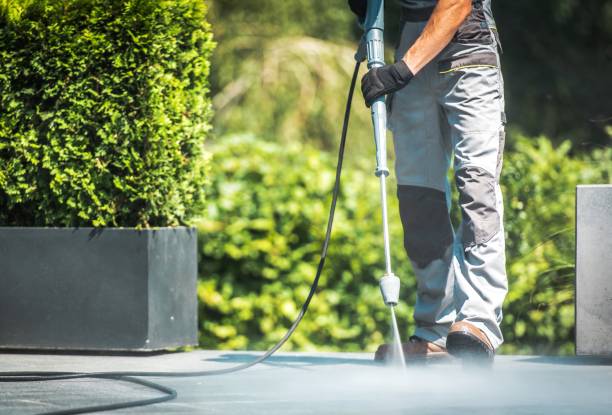 Animal Enclosure Cleaning in Audubon Park, KY